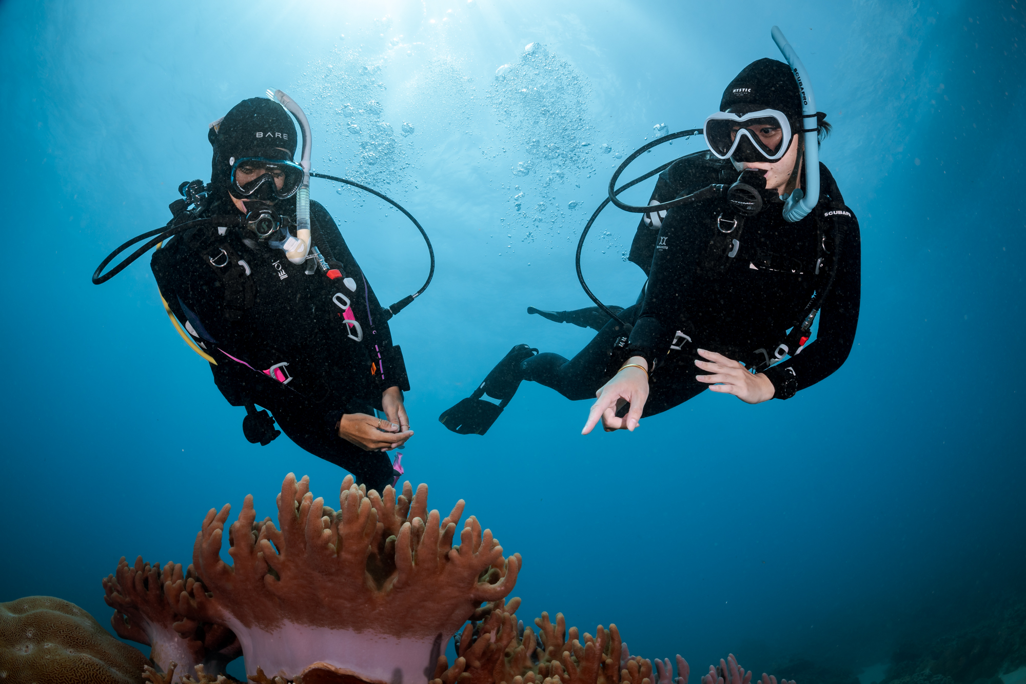 New Method To Register Discover Scuba Diving (DSD) Participants