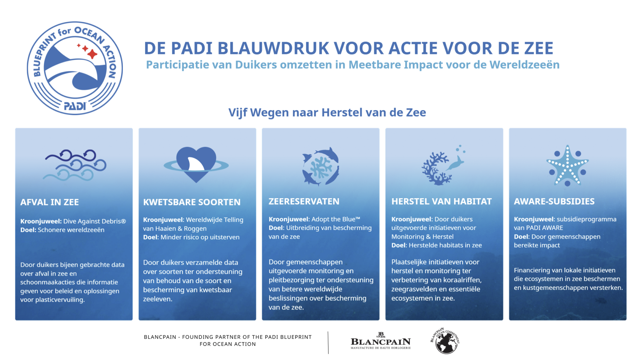 Infographic voor het PADI Blueprint for Ocean Action
